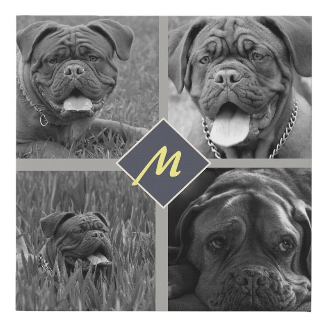 Photo Collage Pet Faux Canvas Print (Front)