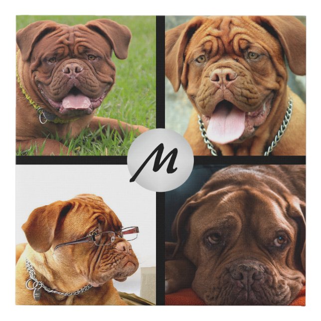 Photo Collage Pet Faux Canvas Print (Front)