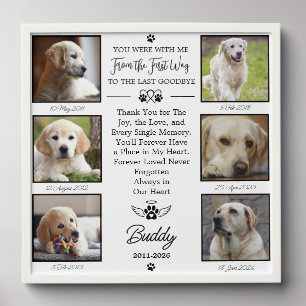Photo Collage Pet Memorial Keepsake Portraits Peel And Stick Photo Tile
