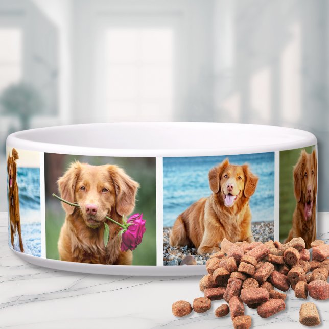 Photo Collage Simple Pet Bowl (Photo Collage Simple Elegant Picture Bowl)