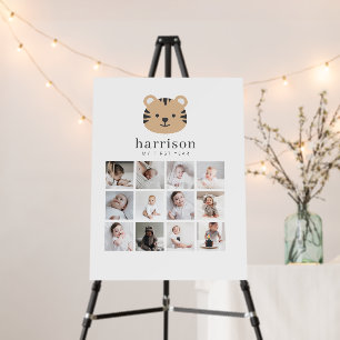 Photo Collage - Tiger Face Foam Board