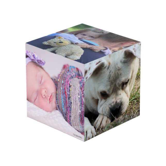 Photo Cube - HAMbWG (Front Angled)