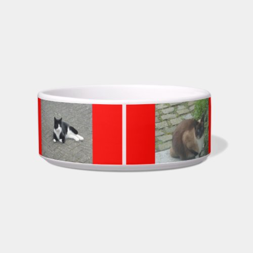 Photo Cust Pet Bowl