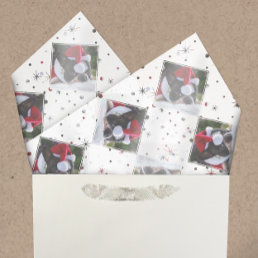 Photo Custom Color-Matching Snow &amp; Stars | Pets Tissue Paper