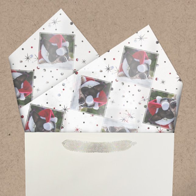 Photo Custom Color-Matching Snow & Stars | Pets Tissue Paper (Creator Uploaded)