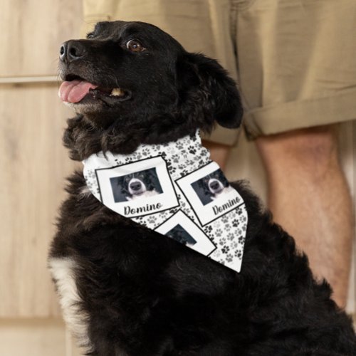 Photo Custom Dog Cat Pet Name Monogram Paws   Bandana