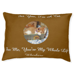 Photo Cute Cat Text Cat Pet Bed