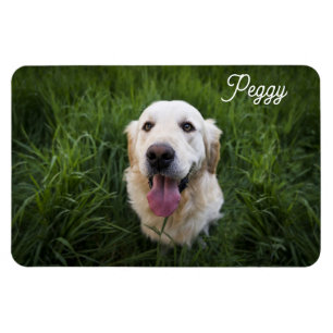 Photo Dog Add Name Easy Template Pet Puppy Magnet