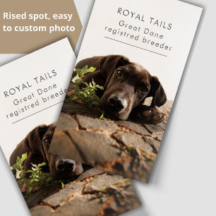 Photo Dog Breeder Custom Professional   Raised Spot UV Business Card