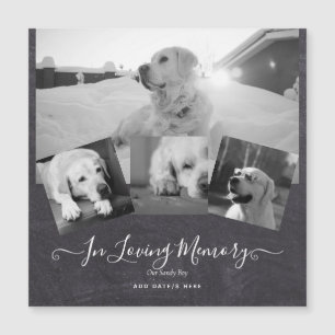 PHOTO Dog Memorial Gift- Pet Loss Keepsake Collage