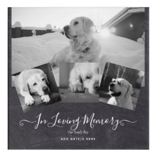 PHOTO Dog Memorial Gift- Pet Loss Keepsake Collage Acrylic Print