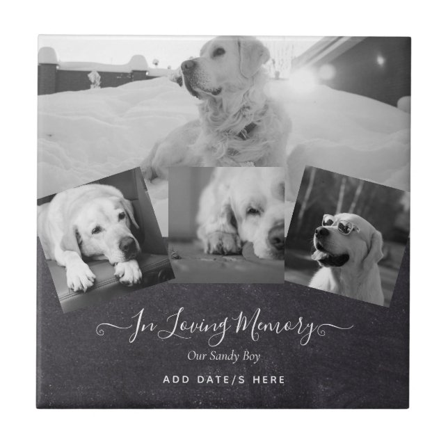 PHOTO Dog Memorial Gift- Pet Loss Keepsake Collage Ceramic Tile (Front)