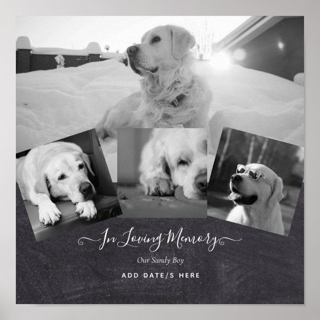 PHOTO Dog Memorial Gift- Pet Loss Keepsake Collage Poster (Front)