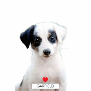 Photo dog name silhouette sculpture cute pet