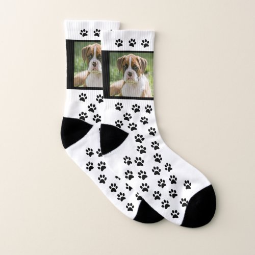 Photo Dog Photo Socks _ Picture Pet Socks