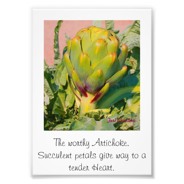 Photo Enlargement (Front)