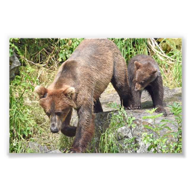 Photo Enlargement (Front)