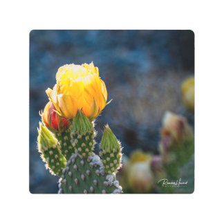 Photo Enlargement Metal Print