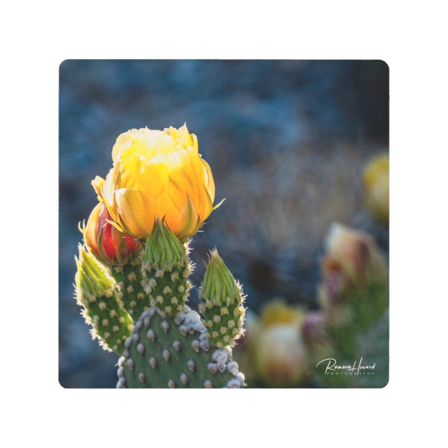 Photo Enlargement Metal Print (Front)
