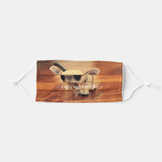 Photo Face Mask Chihuahua (Front, Folded)