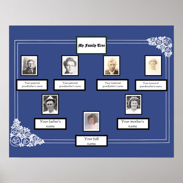 Photo Family Tree Rose Drawing Border on Blue Poster (Front)