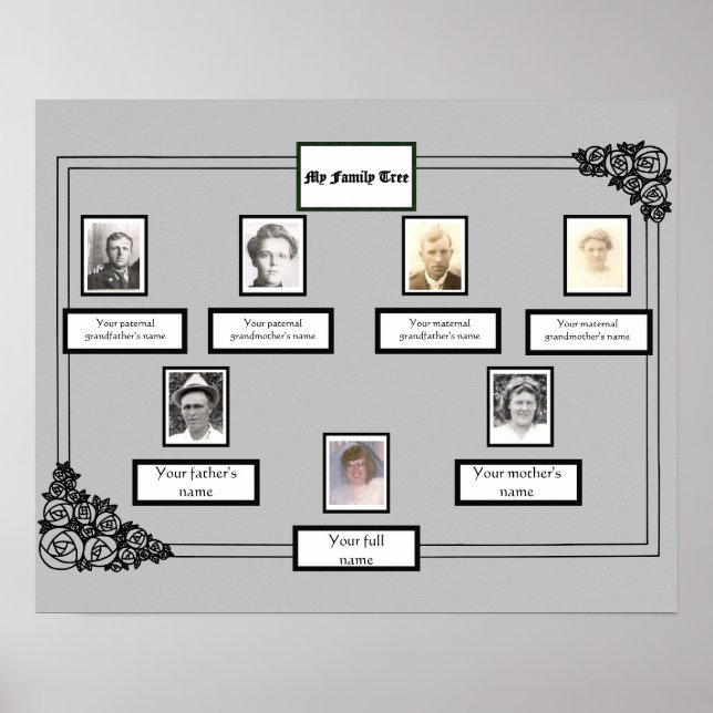 Photo Family Tree Rose Drawing Border on Gray Poster (Front)