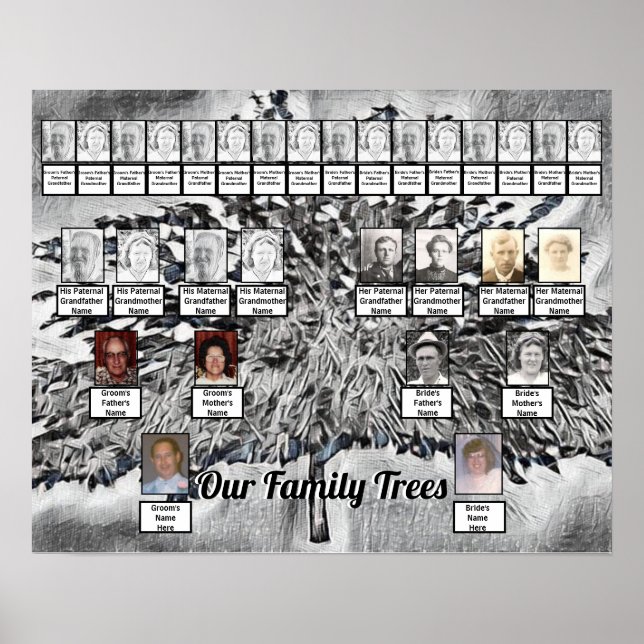 Photo Family Trees on Black and White Digital Art  Poster (Front)