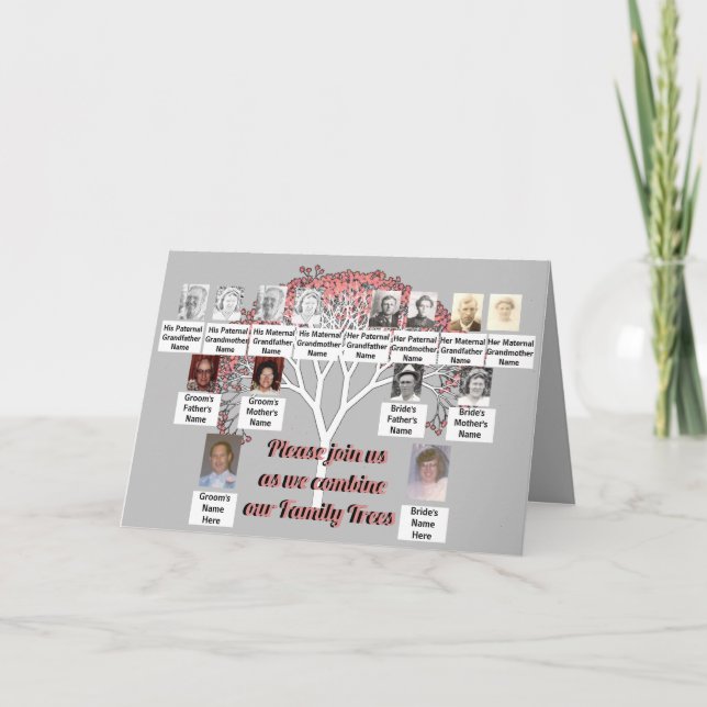 Photo Family Trees Pink Fractal Tree Gray Card (Front)