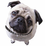 Photo figure “pug " cutout<br><div class="desc">Photo figure for setting up</div>