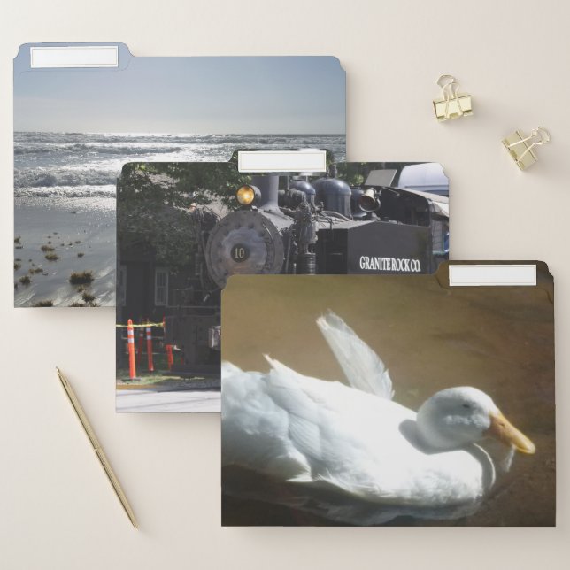 Photo File Folders (Set)