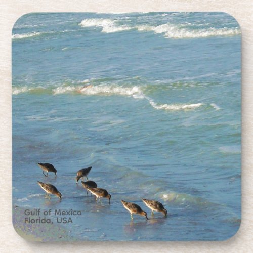 Photo Florida Shorebirds At The Beach Beverage Coaster