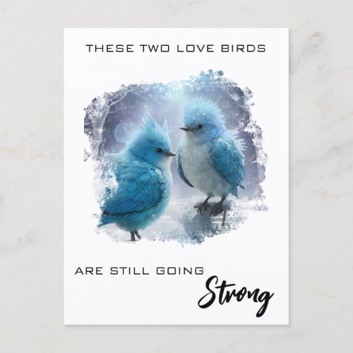  PHOTO  Fluffy Love Birds AP54 Anniversary Postcard