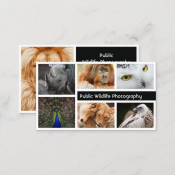 Photo Frame Photography Photographer Business Card by J32Teez at Zazzle