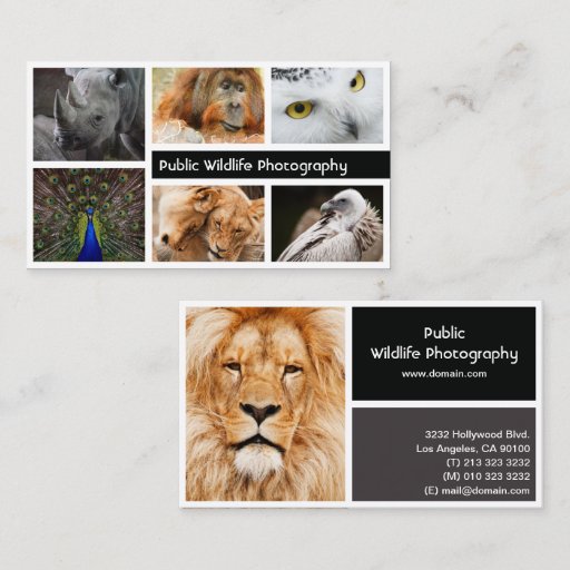 Customizable Photo Frame Photography Photographer Business Card