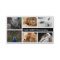 Photo Frame Photography Photographer