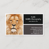 Photo Frame Photography Photographer Business Card (Back)