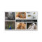 Photo Frame Photography Photographer