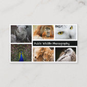 Photo Frame Photography Photographer Business Card (Front)