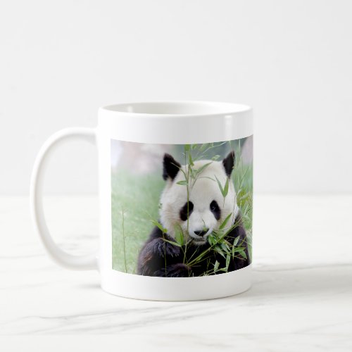 Photo giant panda  animals 0004 coffee mug