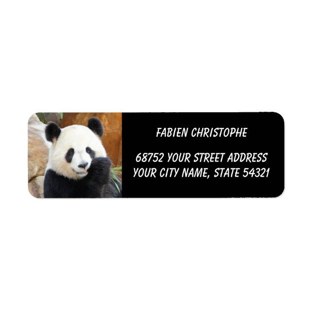 Photo giant panda , animals 0344. label (Front)