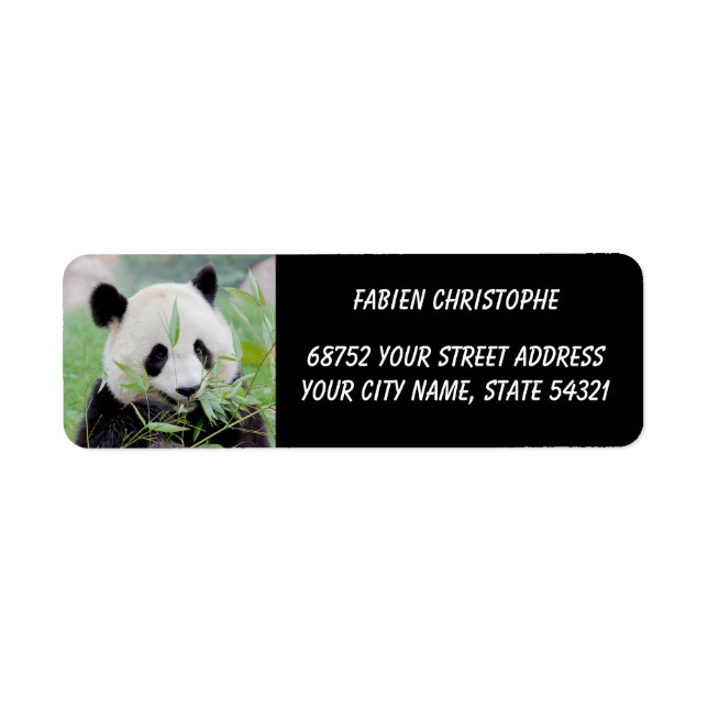 Photo giant panda , animals 0345. label (Front)