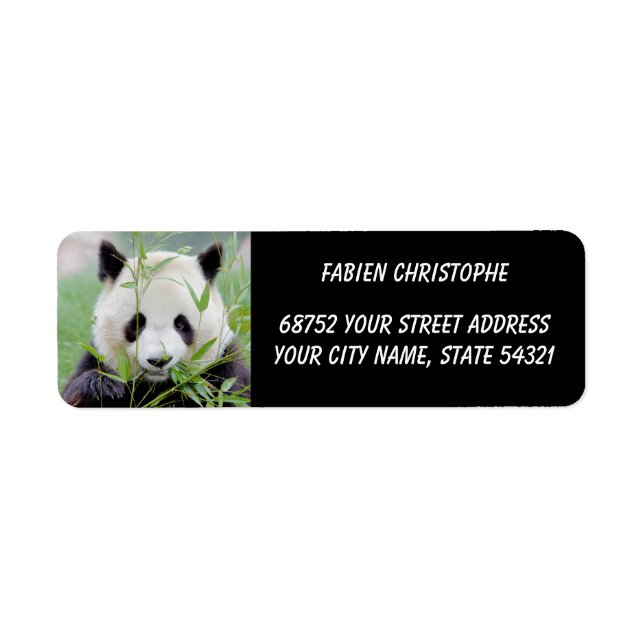 Photo giant panda , animals 0346. label (Front)