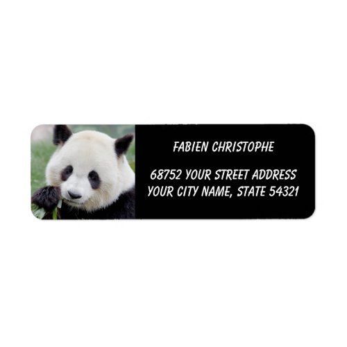 Photo giant panda  animals 0348 label