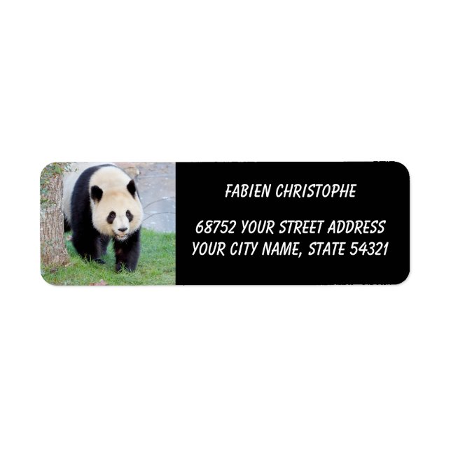 Photo giant panda , animals 0349. label (Front)