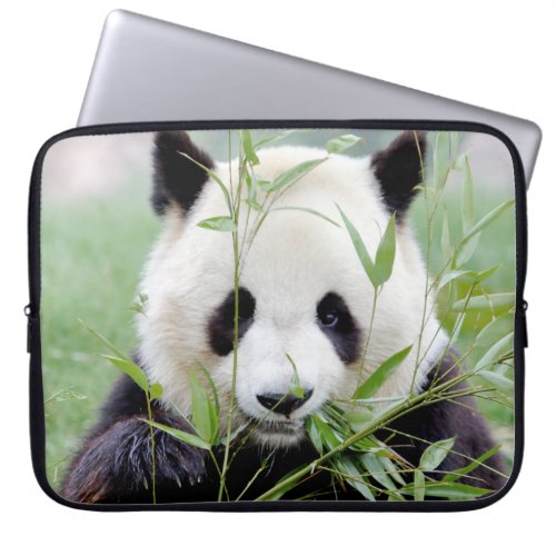 Photo giant panda  animals laptop cases  