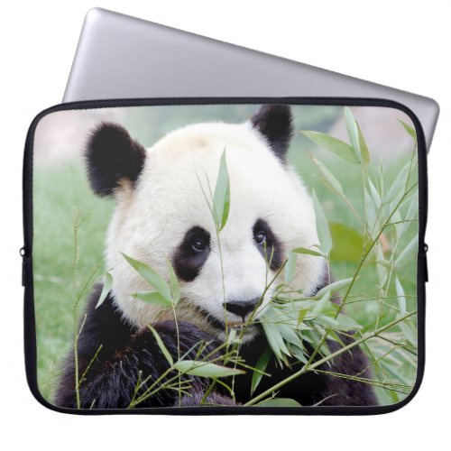 Photo giant panda  animals laptop cases  