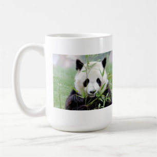 Photo giant panda. Panda geant. Coffee Mug
