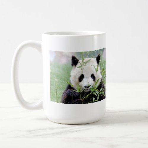 Photo giant panda Panda geant Coffee Mug