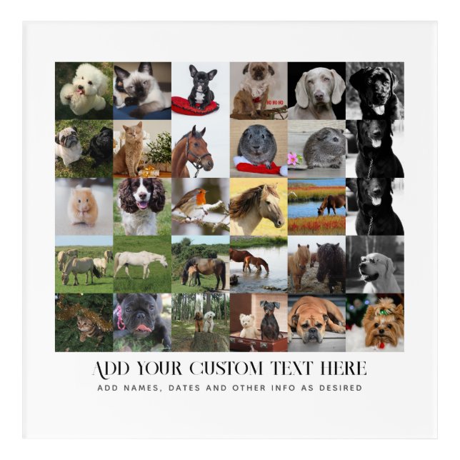 PHOTO GIFTS MOM DAD GRANDPA GRANDMA PETS FRIENDS   ACRYLIC PRINT (Front)