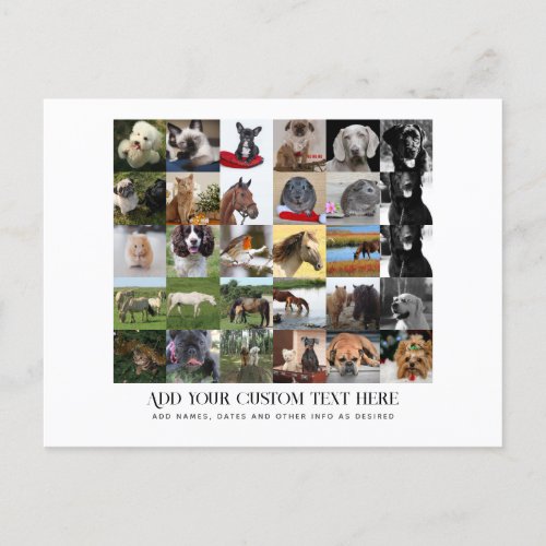 PHOTO GIFTS MOM DAD GRANDPA GRANDMA PETS FRIENDS   INVITATION POSTCARD